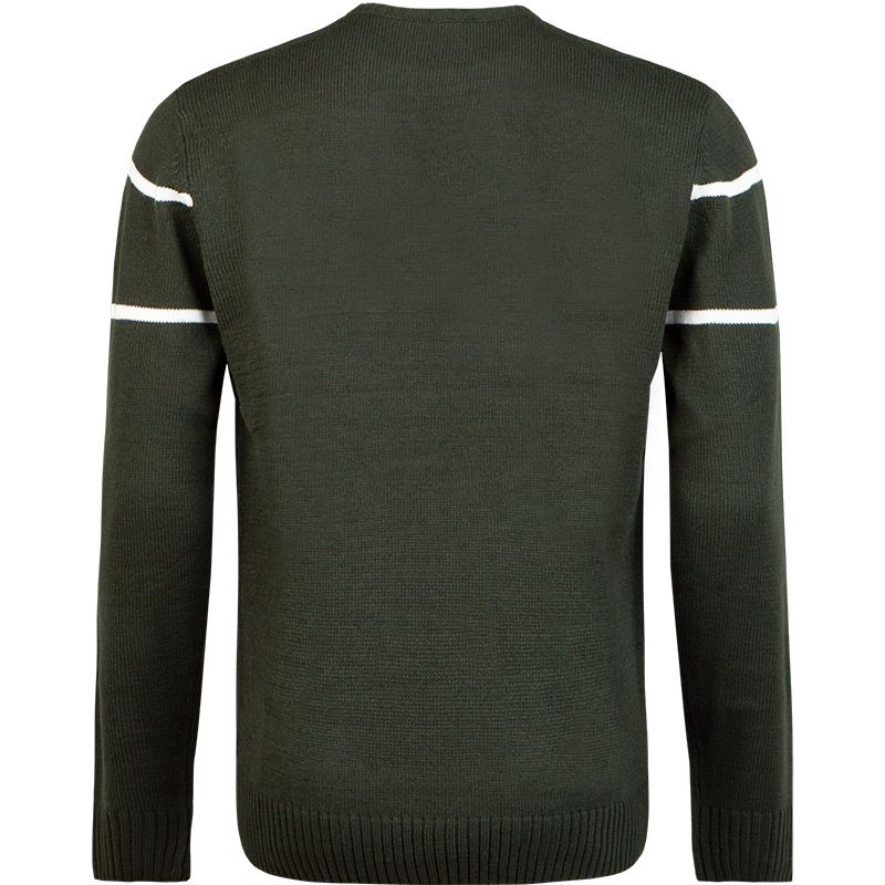 Rear view of a Guinness UK Bottle Green Crew Neck Jumper with white horizontal stripes on the sleeves.